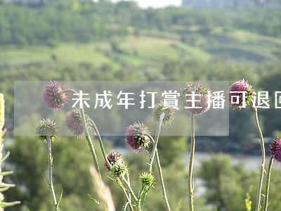 未成年打賞主播可退回，但需具備一定條件