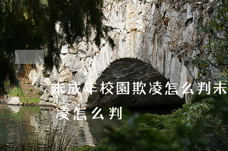 未成年校園欺凌怎么判(未滿16周歲校園欺凌,怎么判)