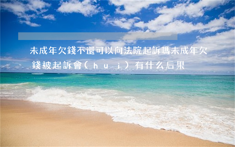 未成年欠錢不還可以向法院起訴嗎(未成年欠錢被起訴會(huì)有什么后果)