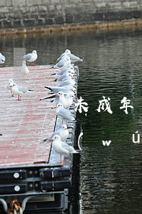 未成年無(wú)證駕駛怎么處罰(未成年無(wú)證駕駛怎么處罰造成事故)