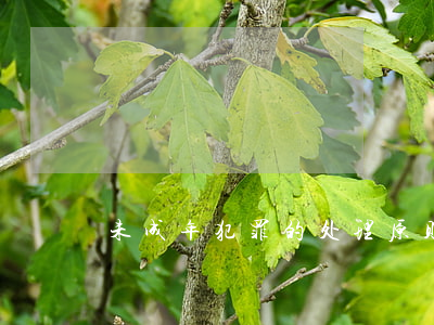 未成年犯罪的处理原则有哪些？
