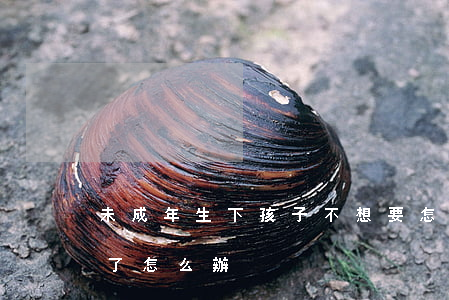 未成年生下孩子不想要怎么辦(未成年生孩子了怎么辦)