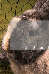 未成年盗窃家属不赔偿(未成年盗窃怎么处罚)