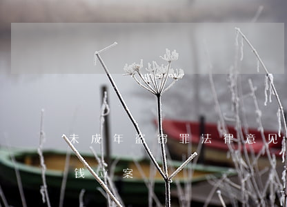 未成年盗窃罪法律意见书(未成年盗窃罪多少钱立案)