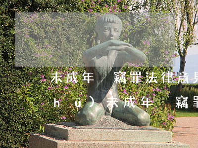 未成年盜竊罪法律意見(jiàn)書(shū)(未成年盜竊罪多少錢(qián)立案)