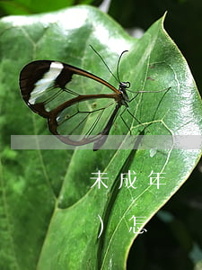 未成年貸款逾期 未成年貸款不還會(huì)怎樣