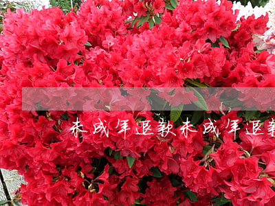 未成年退款(未成年退款理由怎么寫)