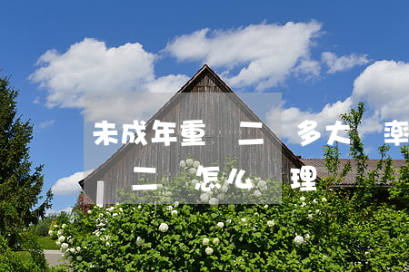 未成年重傷二級多大幾率緩刑(未成年致人輕傷二級怎么處理)