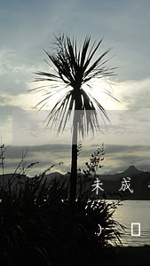 未成年開(kāi)庭適用指定辯護(hù)嗎