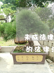 未成法律法規(guī)大全(保護未成年的法律法規(guī)有哪些)