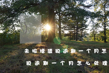 未报增值税逾期一个月怎么处理-未报增值税逾期一个月怎么处理的