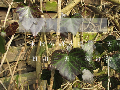 未按劳动法提前三天可以扣工资吗(一天没上班扣三天工资合法吗)