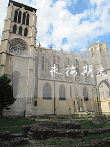 未按期交費保險公司可以不賠償嗎