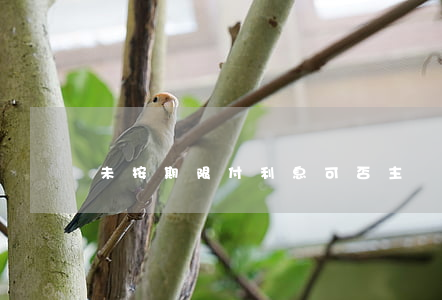 未按期限付利息可否主張逾期利息