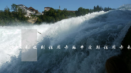 未收到信用卡账单逾期(信用卡 未出账单 还款)
