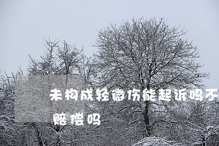 未构成轻微伤能起诉吗(不构成轻微伤能要求赔偿吗)