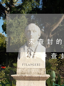未查封的車輛法院可以拍賣嗎(執(zhí)行中查封了車一定要拍賣嗎)