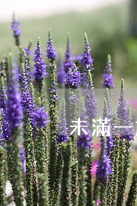 未滿一歲離婚怎么辦