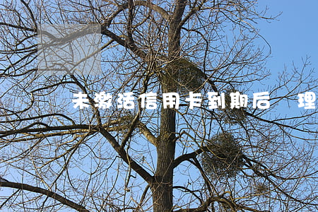 未激活信用卡到期后處理及使用方法