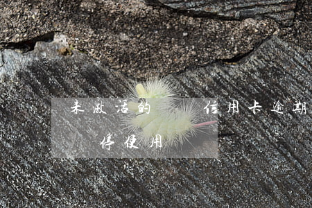 未激活的車貸信用卡逾期(車貸信用卡逾期被暫停使用)