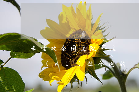 未生效合同法院可以確認(rèn)有效嗎(無(wú)效合同的確認(rèn)權(quán)只屬于人民法院)