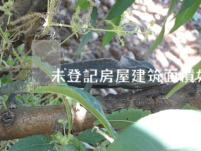 未登記房屋建筑面積如何認(rèn)定