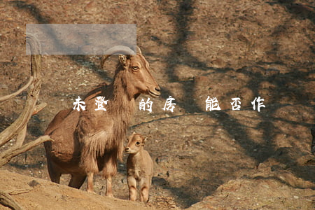 未登記的房產能否作為遺產繼承