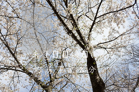 未登記離婚時(shí)房子怎么分(離婚后的房子怎么分)