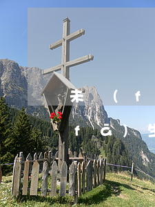 未發(fā)生90天以上逾期案例（未發(fā)生90天以上逾期）
