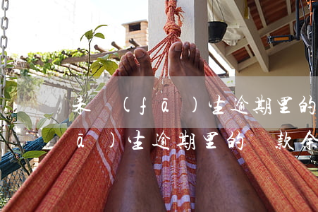 未發(fā)生逾期里的貸款余額(未發(fā)生逾期里的貸款余額)