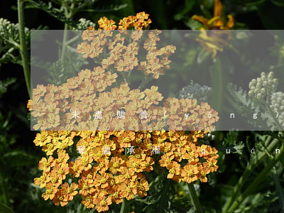 未盡贍養(yǎng)義務(wù)可以剝奪繼承權(quán)嗎