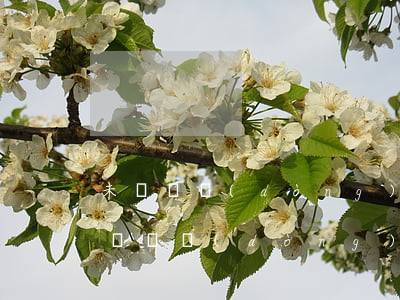 未簽勞動(dòng)合同一定賠償嗎(未簽訂勞動(dòng)合同怎么賠償)