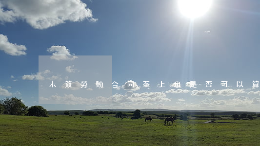 未簽勞動合同不上班是否可以算自動離職