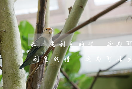 未約定利息的借條逾期可以主張嗎-未約定利息的借條逾期可以主張嗎合法嗎