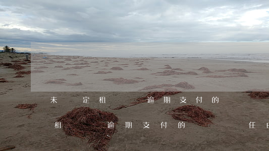 未約定租賃費逾期支付的違約責任-未約定租賃費逾期支付的違約責任由誰承擔