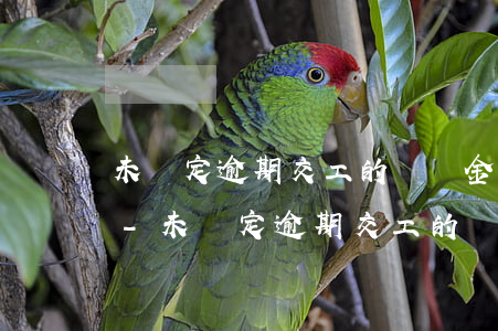 未約定逾期交工的違約金如何計(jì)算-未約定逾期交工的違約金如何計(jì)算