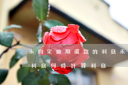 未約定逾期還款的利息(未約定還款期限逾期利息何時計算利息)