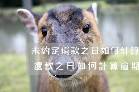 未約定還款之日如何計算逾期利息-未約定還款之日如何計算逾期利息呢