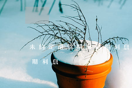 未約定還款期限逾期利息(未約定還款期限逾期利息)