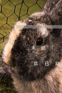 未結(jié)清貸款怎么成逾期了(逾期欠款已結(jié)清,征信什么時(shí)候顯示結(jié)清)
