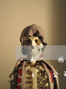 未繳納物業(yè)費(fèi)，物業(yè)公司禁止我車進(jìn)入是否合理