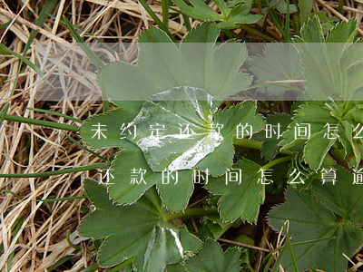 未约定还款的时间怎么算逾期利息-未约定还款的时间怎么算逾期利息呢
