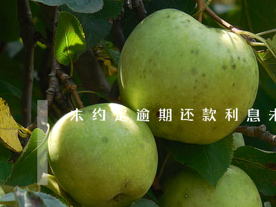 未约定逾期还款利息(未约定逾期付款利息)