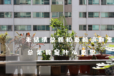 未结清总额和当前逾期金额怎么看-未结清总余额是什么意思