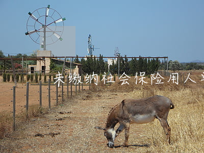 未缴纳社会保险用人单位赔付相关案例