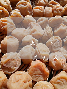 未訂立勞動(dòng)合同辭職后能否要求用人單位補(bǔ)繳社保