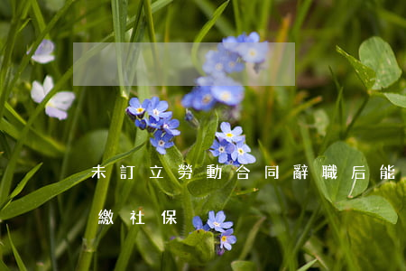 未訂立勞動合同辭職后能否要求用人單位補繳社保
