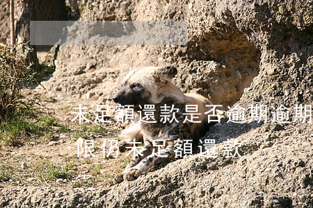 未足額還款是否逾期(逾期指到還款日最后期限仍未足額還款)