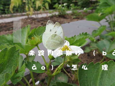 未跨月逾期抄報(bào) 逾期未抄報(bào)稅怎么處理