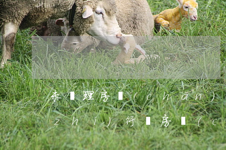未辦理房產(chǎn)證的法院可以執(zhí)行嗎(房產(chǎn)證還沒有辦下法院可以執(zhí)行嗎)